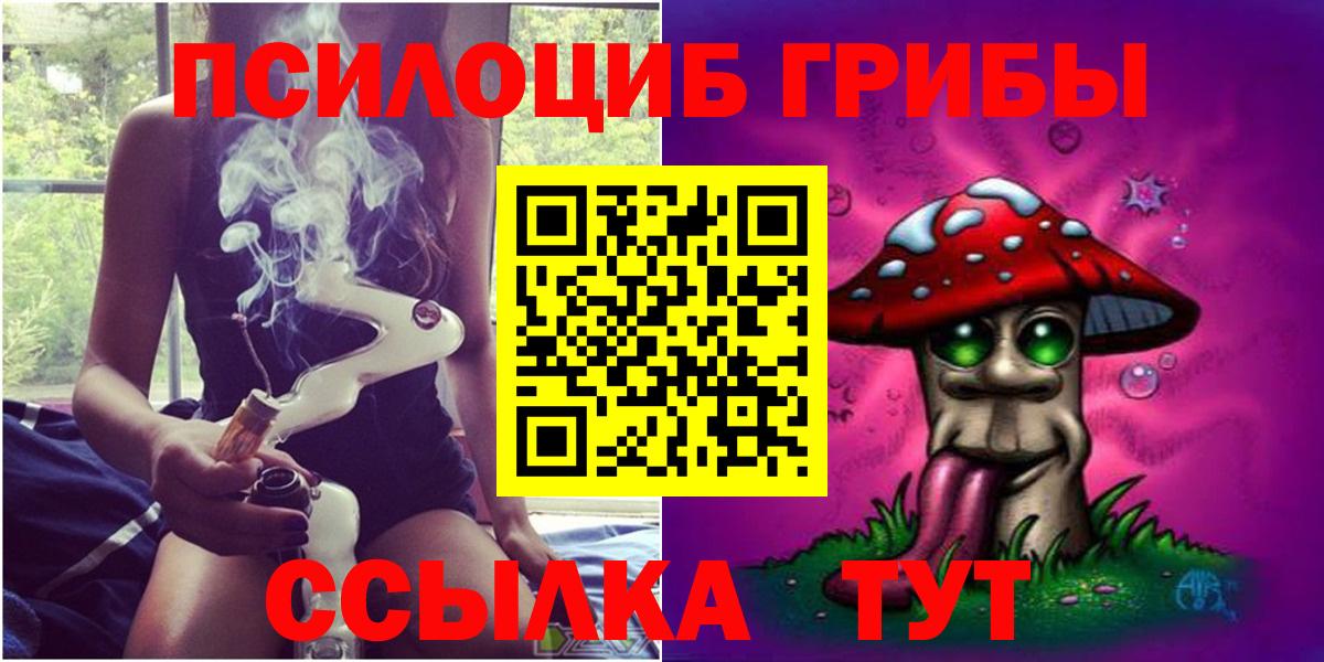 где найти наркотики  Псилоцибиновые грибы ЛСД  Вход с VPN  Железноводск 
